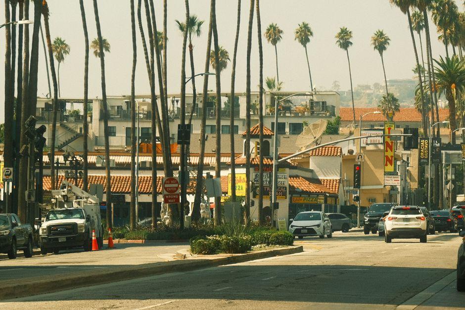 Bustling Los Angeles Street Scene with Palm Trees